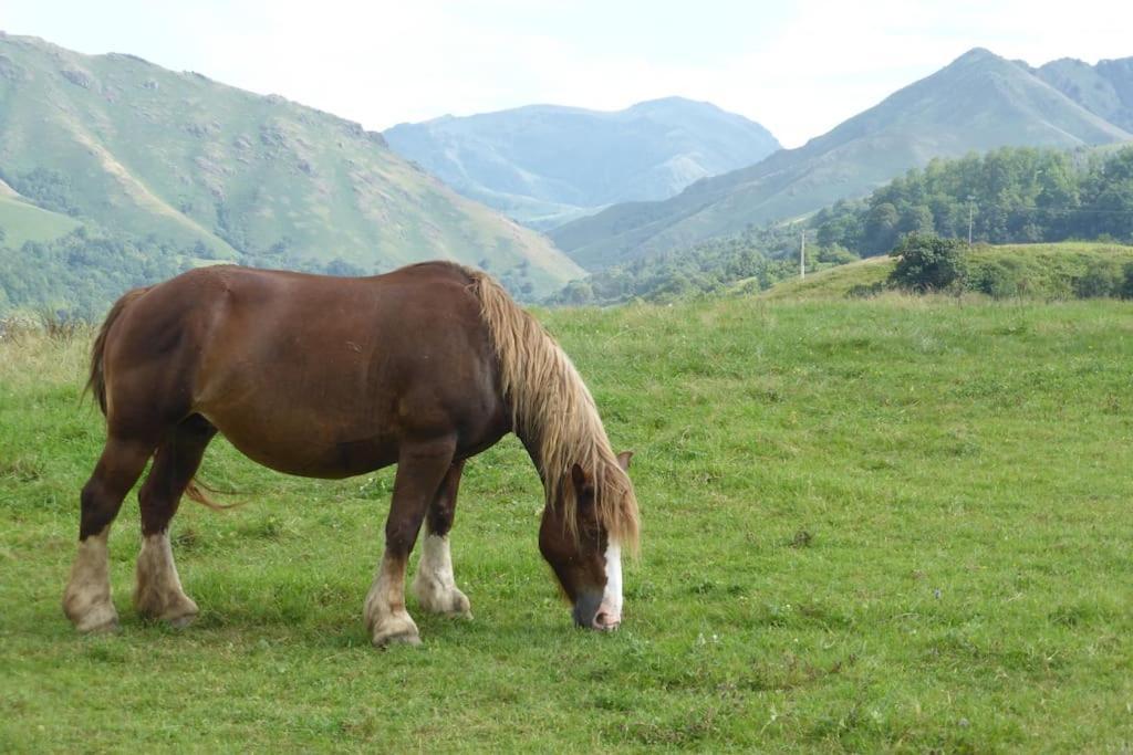 Gite Individuel Au Pays Basque A 1,5Km De St-Jean-Pied-De-Port Сен Жан Пие-дьо-Пор Екстериор снимка