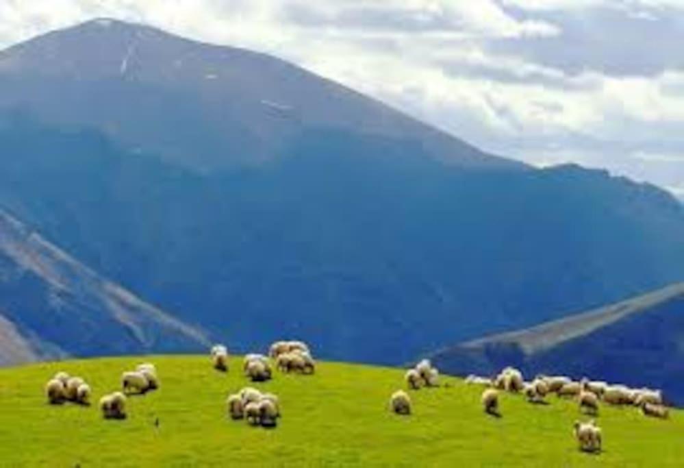 Gite Individuel Au Pays Basque A 1,5Km De St-Jean-Pied-De-Port Сен Жан Пие-дьо-Пор Екстериор снимка
